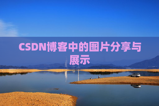 CSDN博客中的图片分享与展示